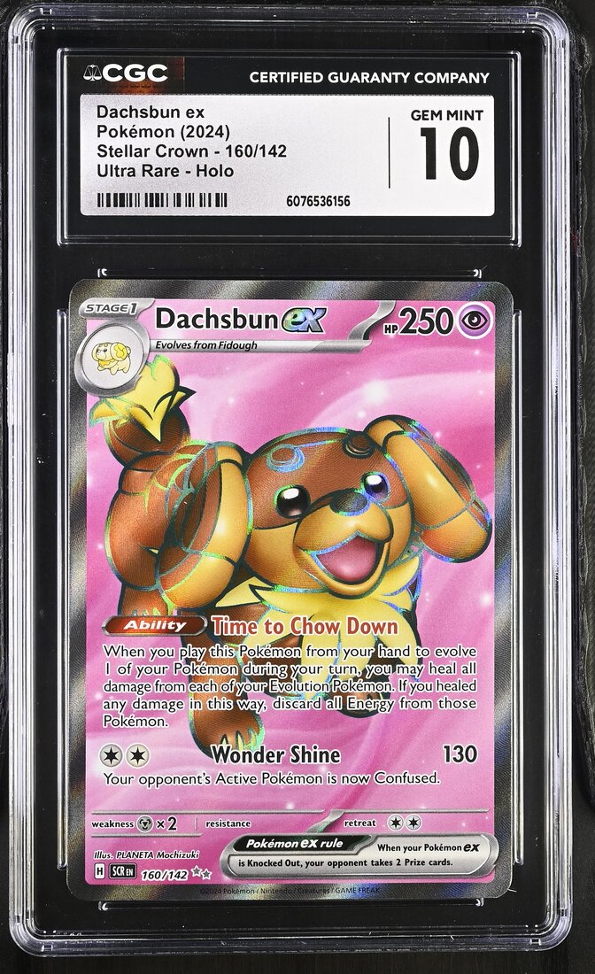 2024 #160 Dachsbun ex CGC 10 Stellar Crown - SCR EN - English